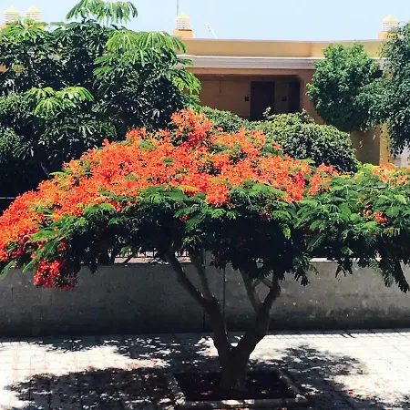 Charming With A Cozy Terrace