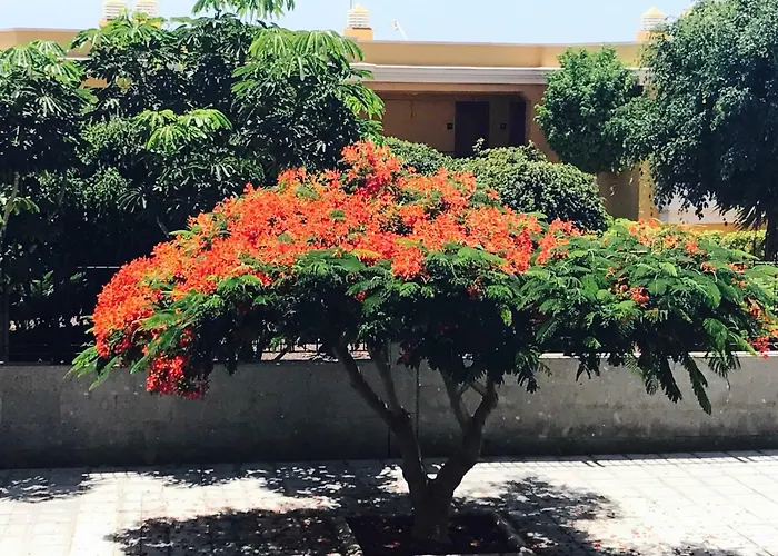 Charming With A Cozy Terrace